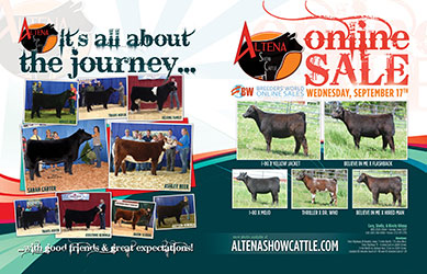 Altena Show Cattle — Club Calves Winners and Sale Cattle in George, Iowa